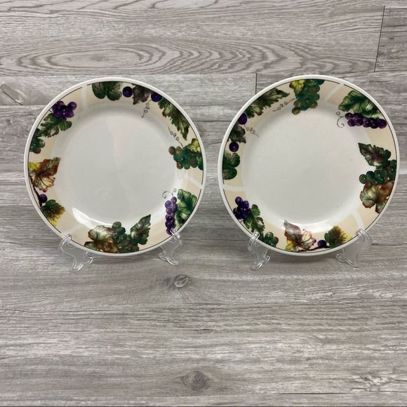 🧧SOLD🧧Casual setting by Oneida grapevine set of 2 plates - Picture 1 of 5
